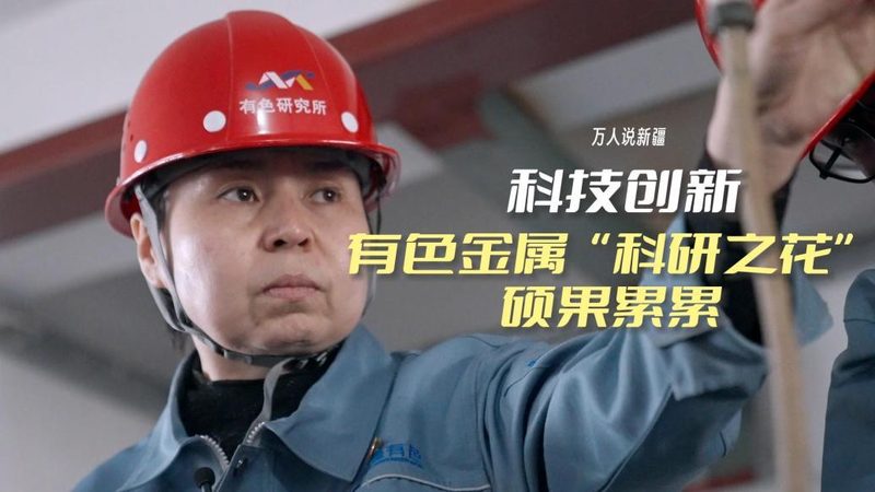 仓储物流信息化建设：如何精准匹配需求与方案**